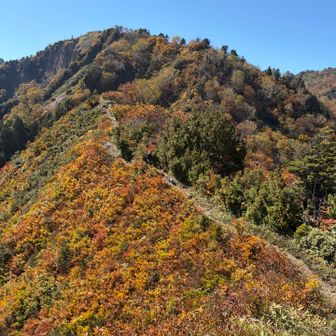 紅葉も見頃で素敵な山歩きできました🙏