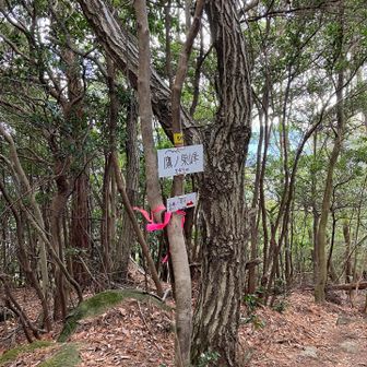 再び549ピーク。今回は正面口に下ります。