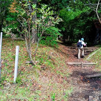馬返し登山口からスタート💪
