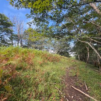水根山山頂に続く辛い登り。この登りを越えると鷹ノ巣山はすぐ近くになるはずだ。