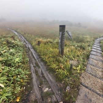 下山途中に池ノ岳へと玉子石への分岐で悩み、雨が止んだのもあって予定外で玉子石へ向かうことに。山頂（標柱の所）でお会いしたお二方、「たぶん行かない」と言っていたのに、すみません(^^;)