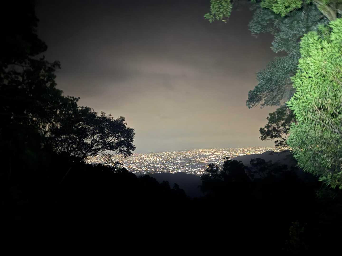 愛宕山往復 | 全国に約900社を数える愛宕神社総本宮への参詣登山の写真