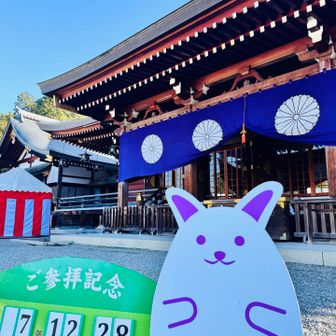 晴れてきました☀️