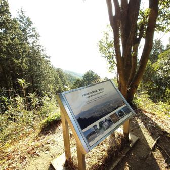 陽が射し込んできましたが霞で真っ白ですね。
下界の街並みも良く見えません。