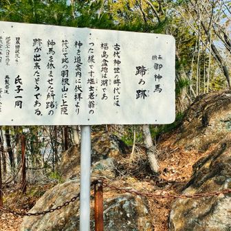 どこか蹄か分からん