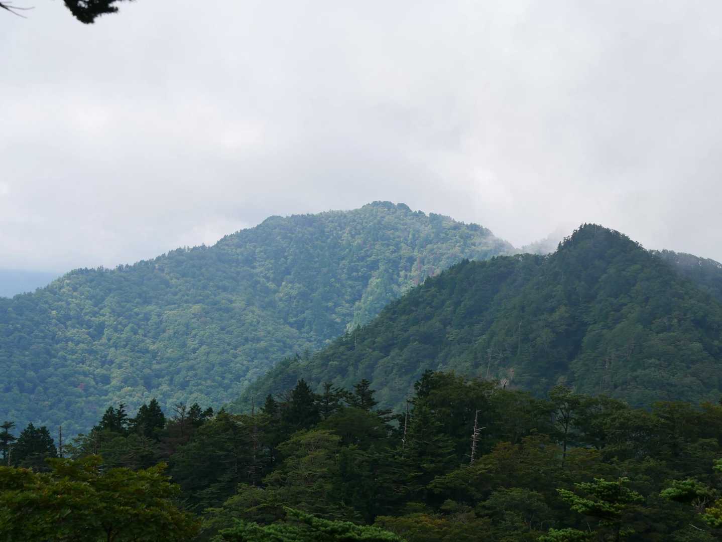 稲村ヶ岳も機嫌を直してくれました😊