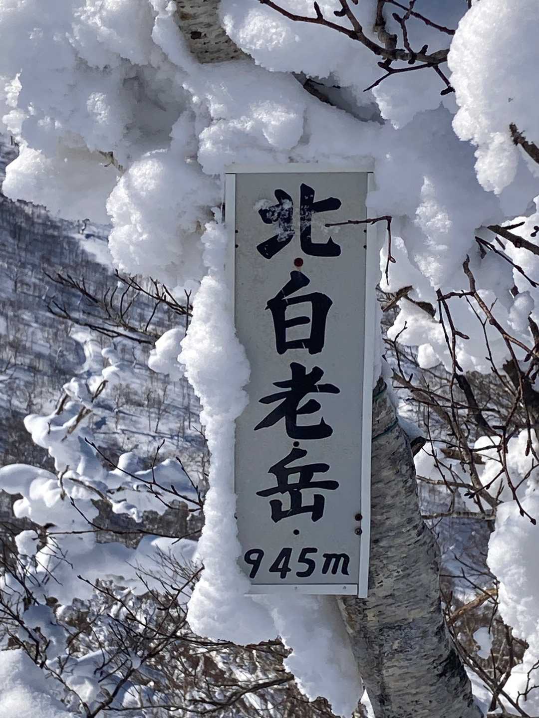 着いた〜✨やった〜🎶