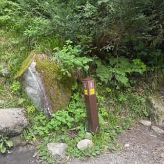 笠新道入り口