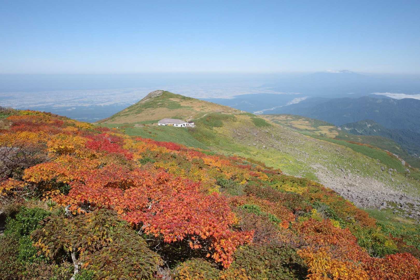 月山八合目往復 | 夏は残雪と花の楽園、秋は黄金に染まる草紅葉、四季折々の魅力の写真