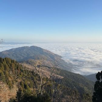 見事な雲海☁️