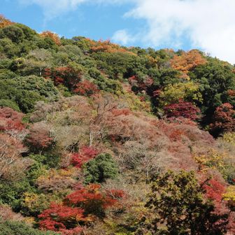 おー、ええやん