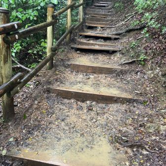 登りは稲荷山から