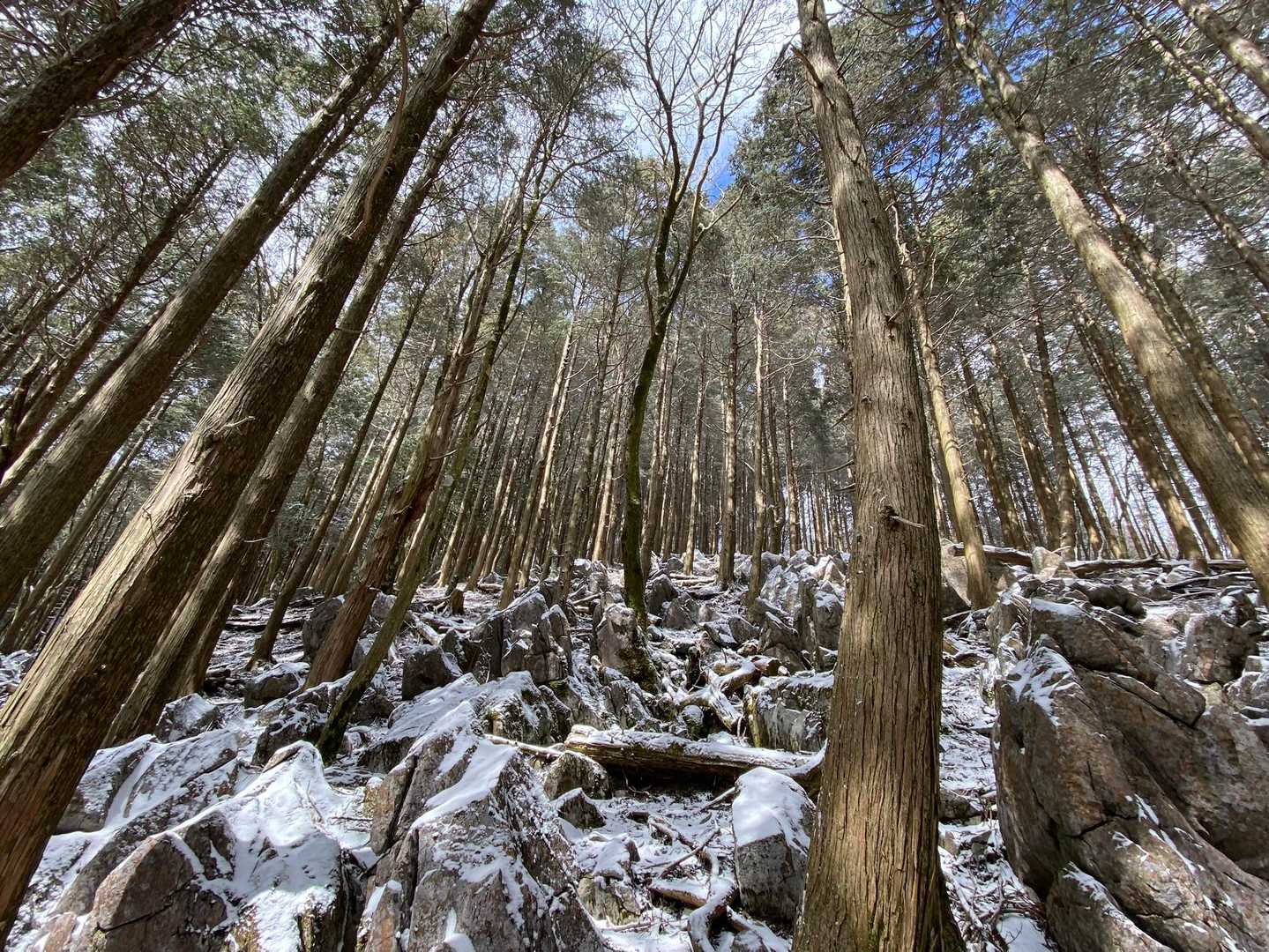 元井谷登山口-仰烏帽子山 往復コースの写真