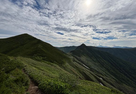 273号線側登山口～ニセイカウシュッペ山（往復） / しみまんの登山