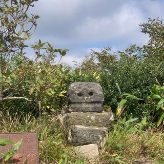 鼻息が荒い。