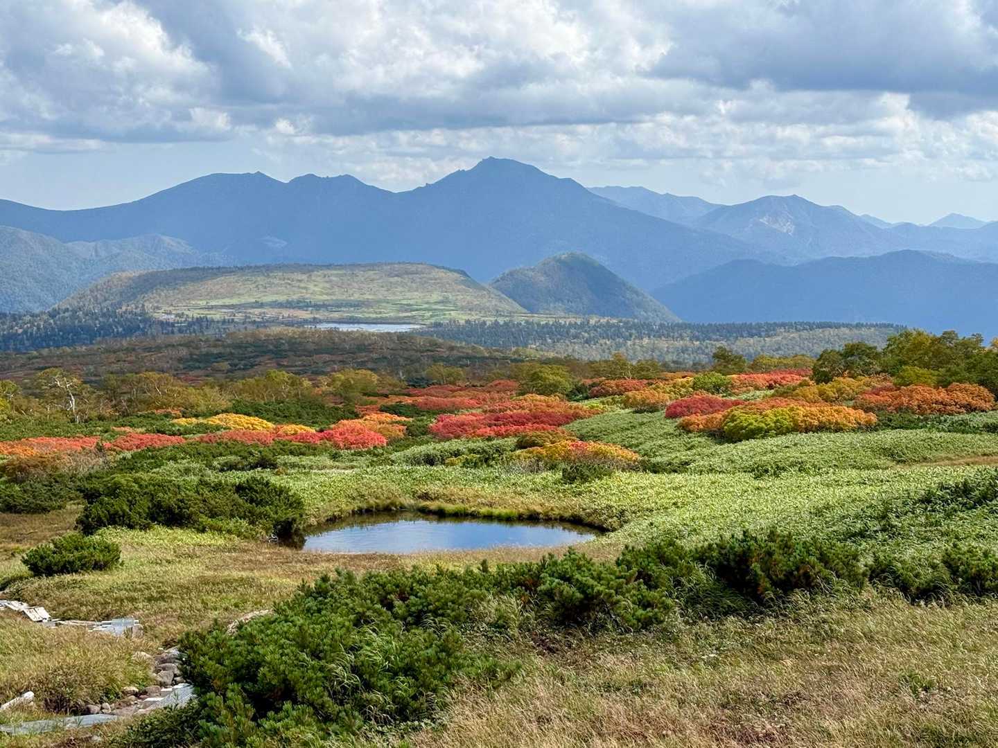 紅葉が綺麗です