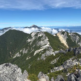 左のが高嶺かな？