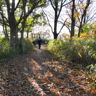 ベンチもあって、
休憩できます＾＾