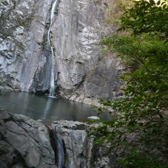水少なめ