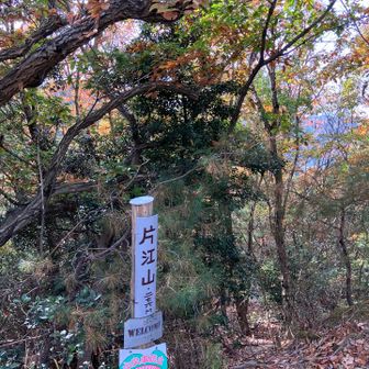 展望はございません②