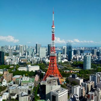 マウントヨッシー