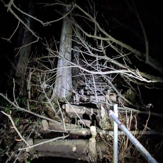 そして！なんと！
今朝！モーメントでも上げましたが、
コレコレ！
びっくりしました💥

倒木ではなく伐採らしい
？？？？？😥