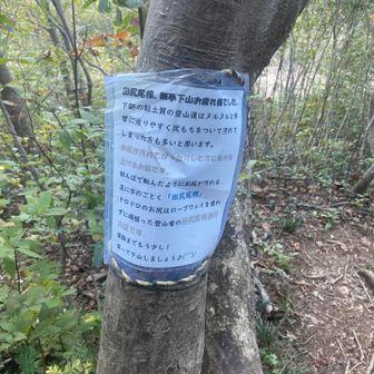 色々ありましたが、日のあるうちに下山
