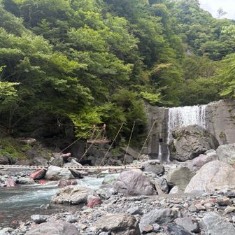 下山も樹林帯をひたすら歩く。噂の譲渡は橋がしっかりかかっていた。
聖光小屋からの歩道5キロが一番長くてしんどかった…。