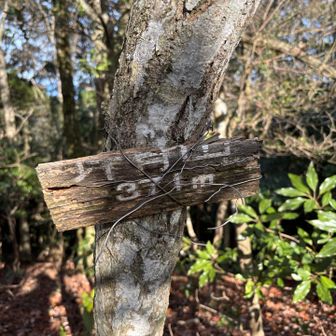 坪背山ゲット^_^