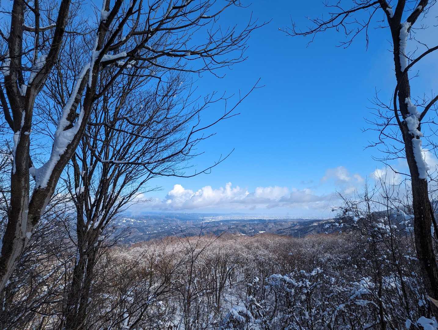戸室山-医王山寺 周回コースの写真