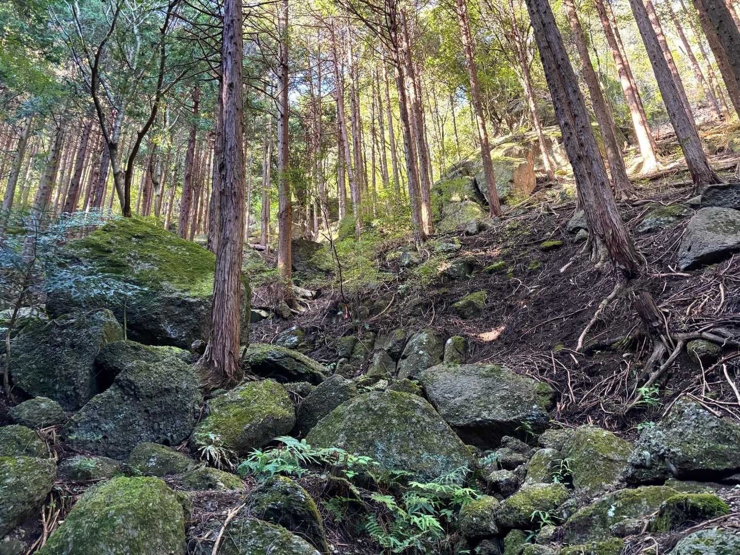 石老山 縦走コースの写真