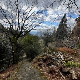 正午をお知らせするエーデルワイスの音楽を聴きながら🎵