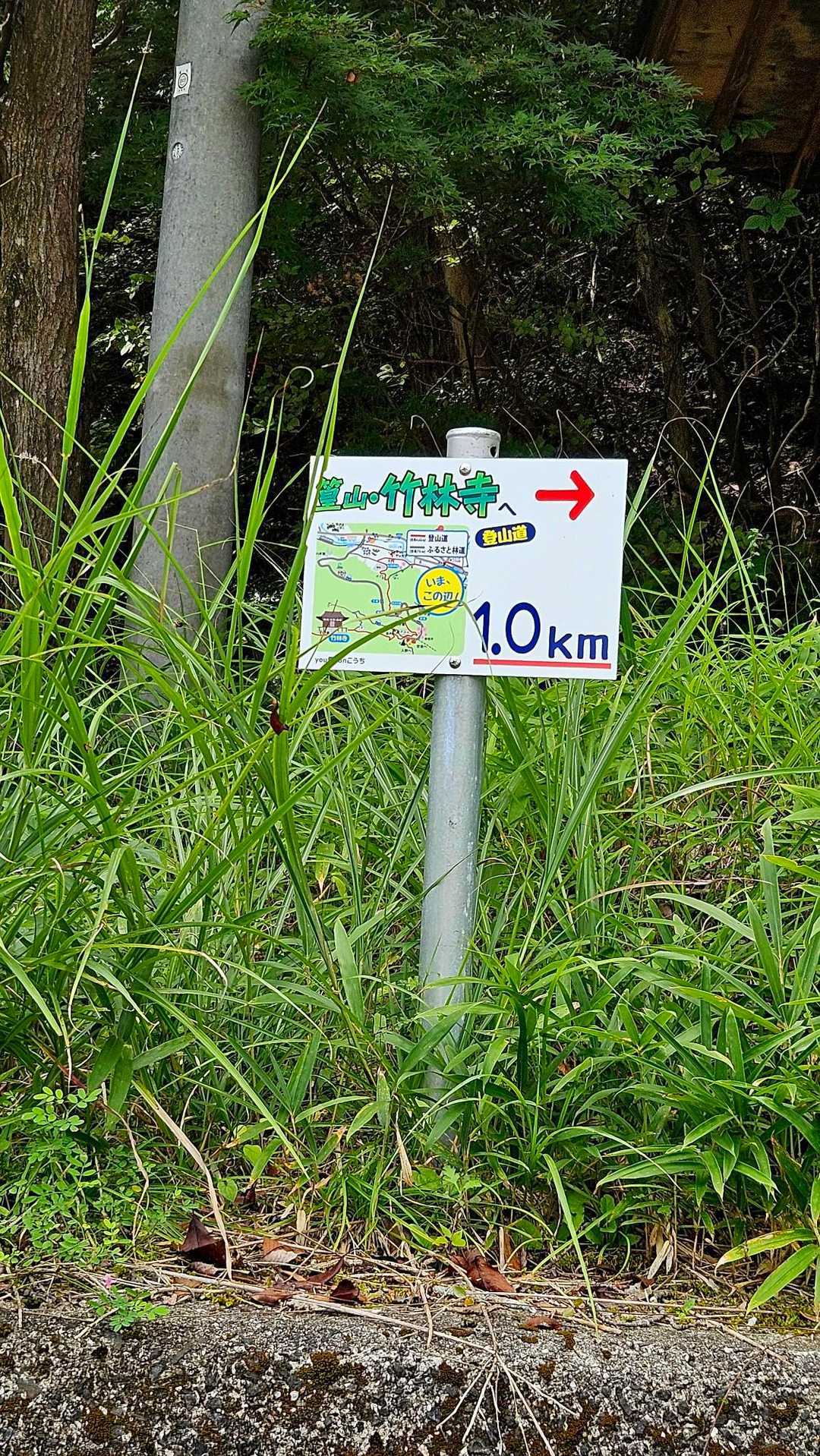 そして序のお山篁山(たかむらやま)へ～❗