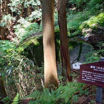 畳石。何枚も積み重なっていました。
