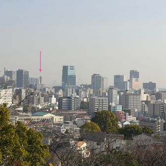 会下山山頂からの眺望 ✨

↓ のところに神戸ポートタワーが見えてますよ🗼