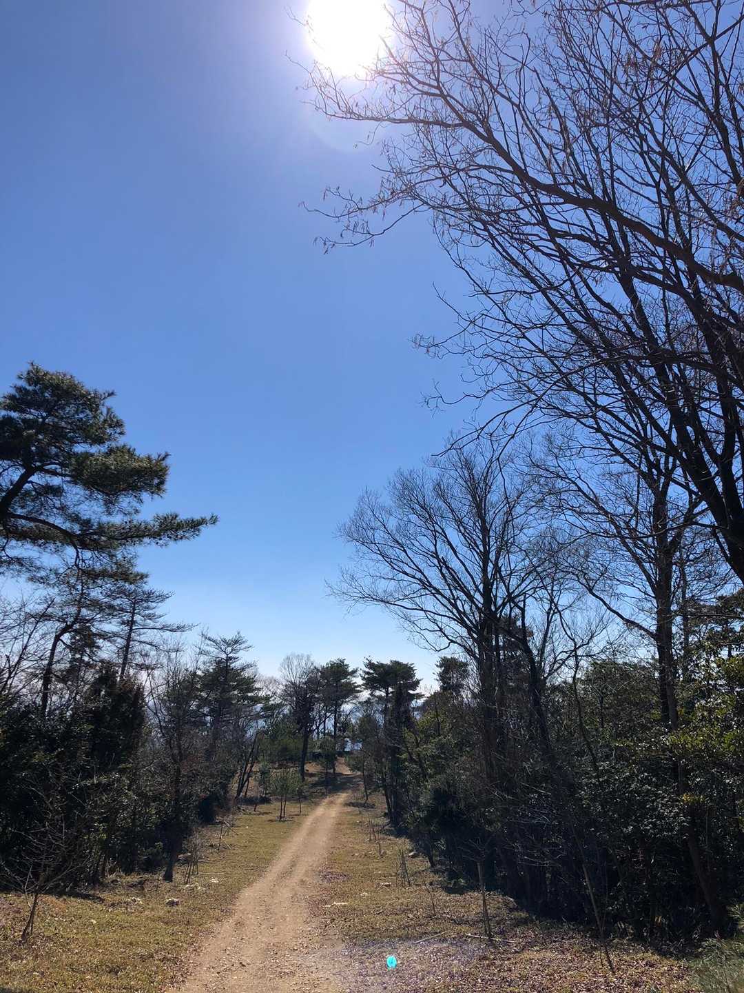 開放感あふれる道を抜けると展望エリアです