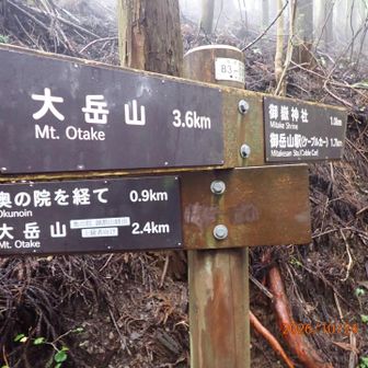 右へ