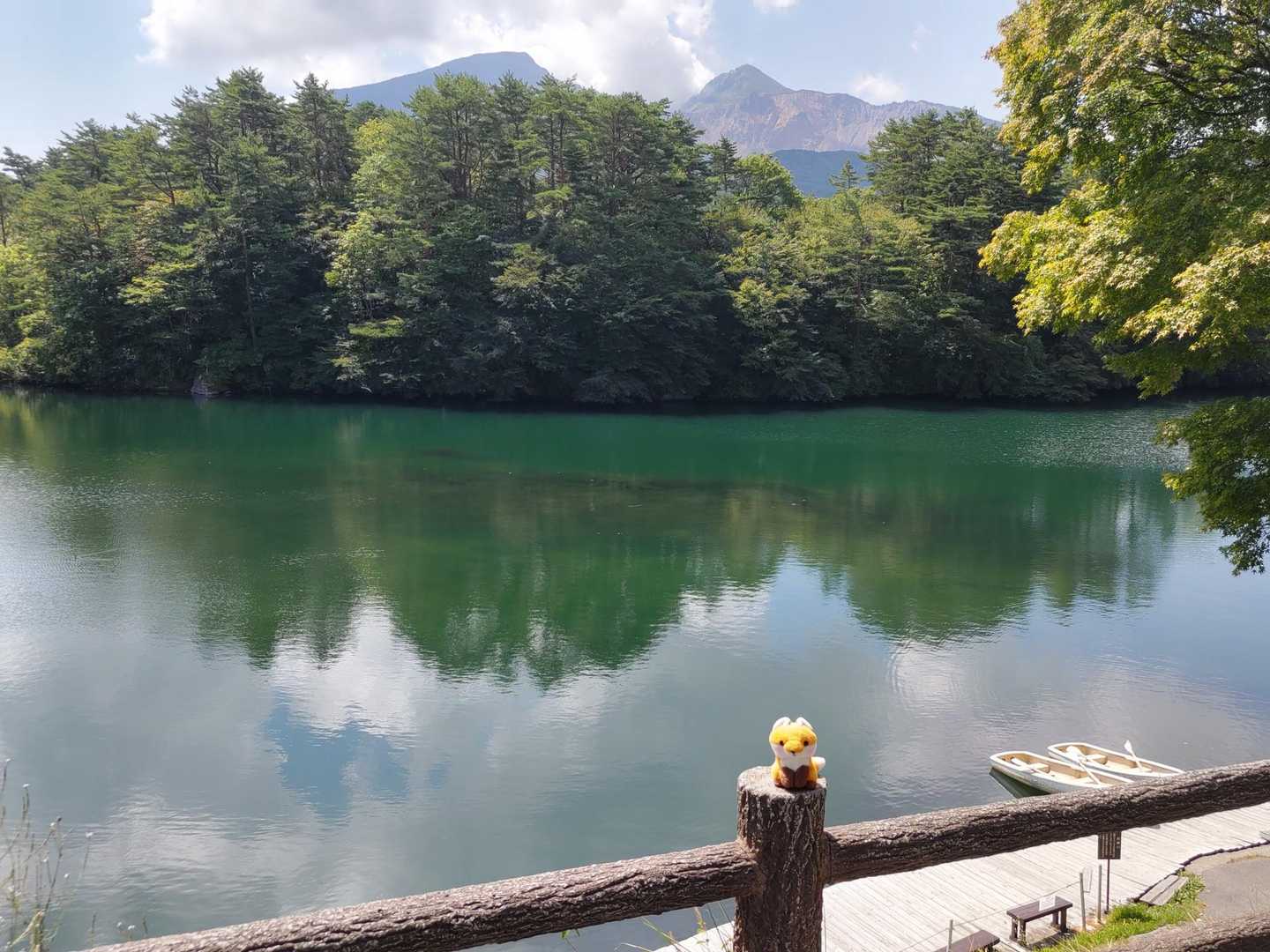 水綺麗だな😍