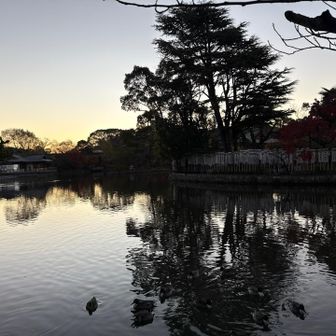 源氏池
静かにみえますが、周りでラジオ体操してます