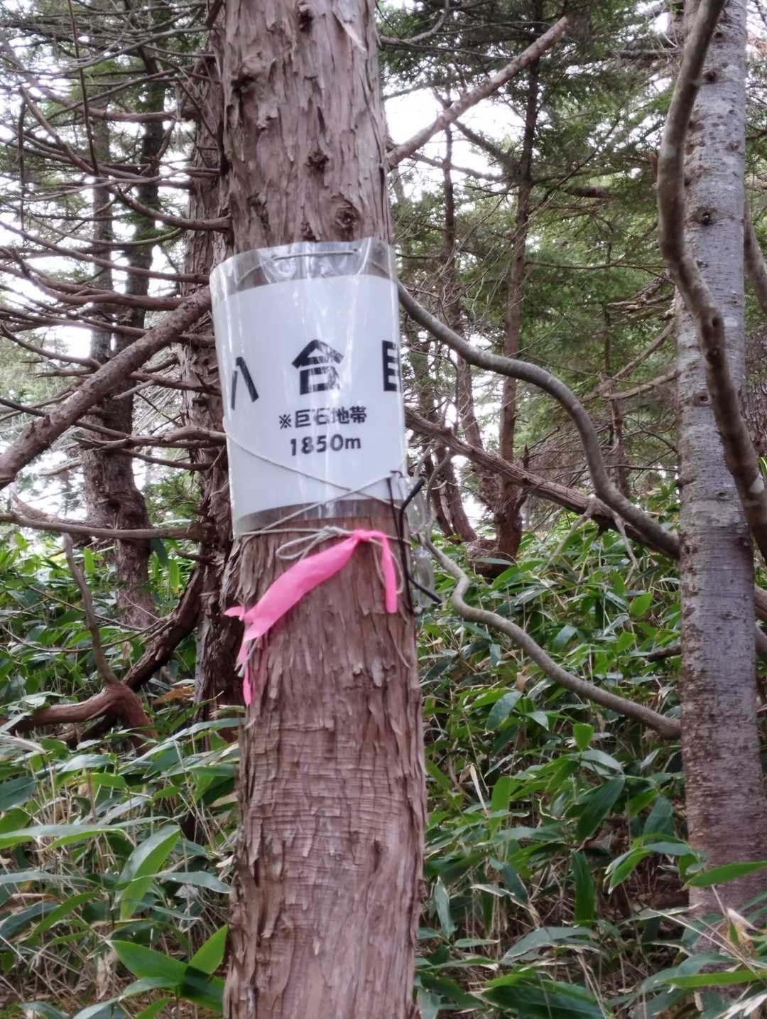 八合目は巨石地帯。