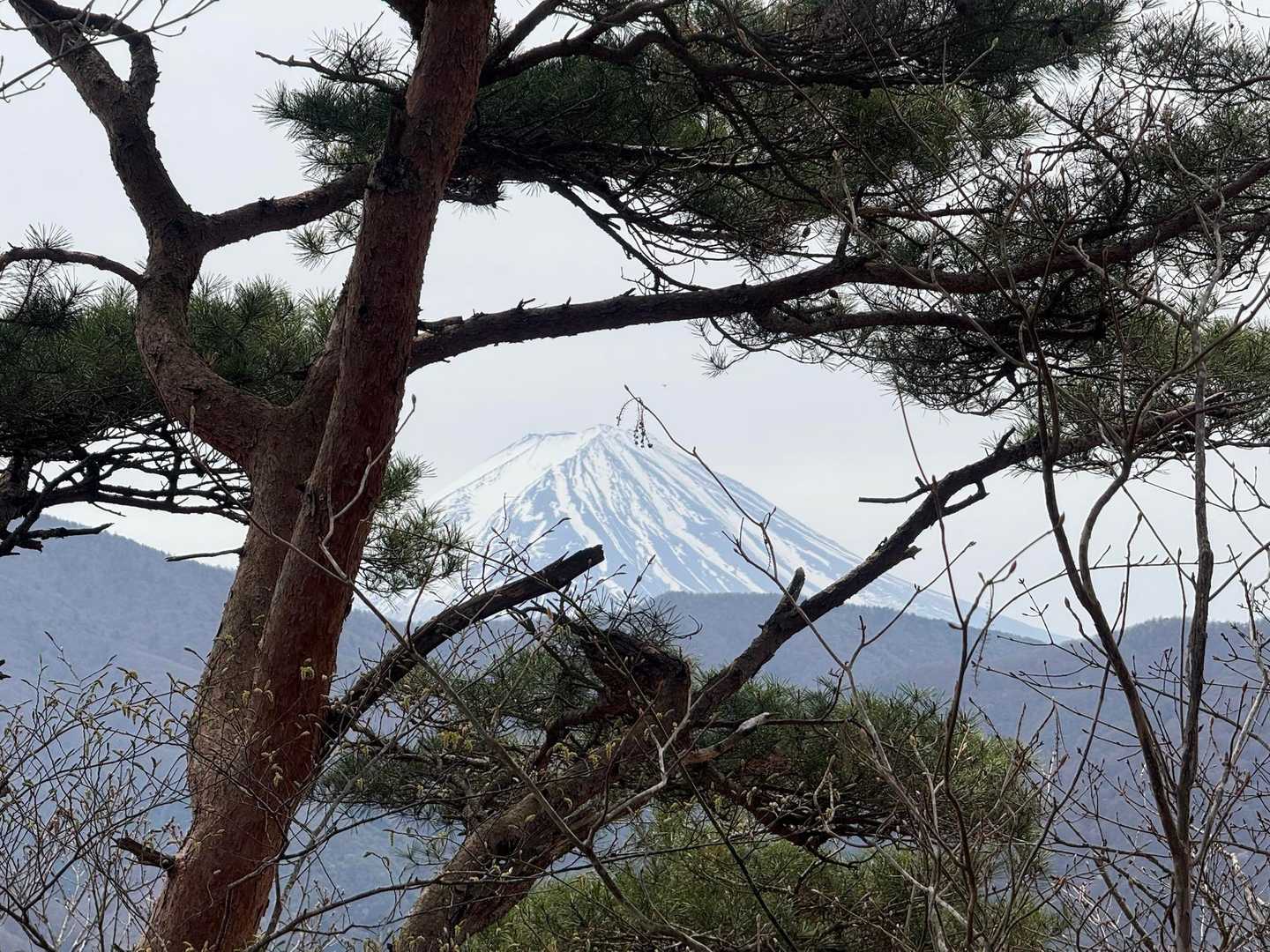 驚き‼️
富士山がキレイに見えました😍