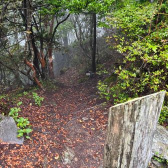 山頂反対側を撮りましたが、やはり眺望無し