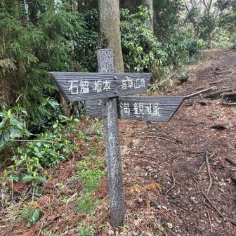 満観峰、行きたかったけど時間の都合で今日は諦めます🤣