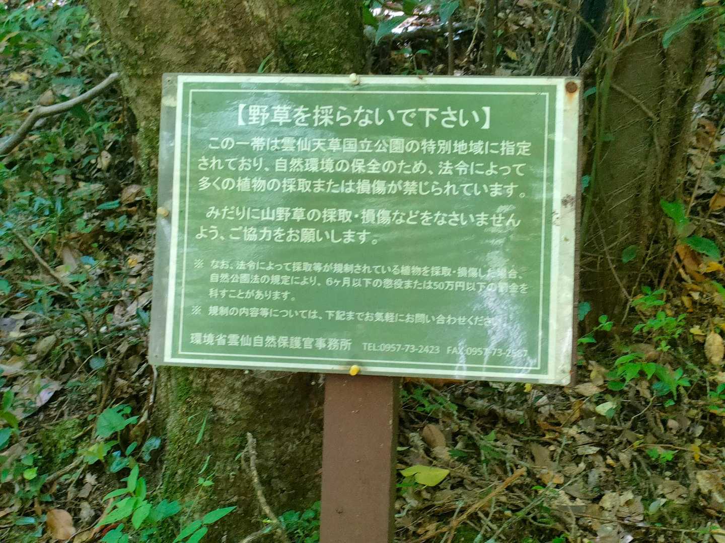 この看板の足元に…