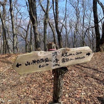 秋みたい🍂これからは先は新緑とつづじが良い時期かも。