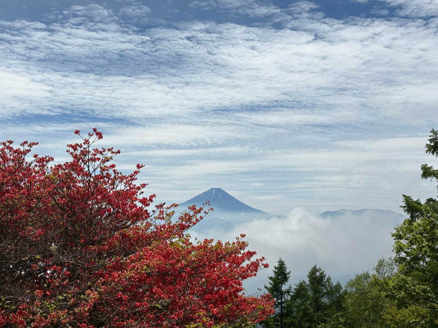 甘利山・千頭星山 | クルマから20分ほどの富士展望峰、鳳凰三山を間近に望む頂への写真