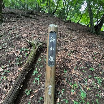 鈴が坂
ここの斜面は結構斜度があり、下りは滑らないように注意