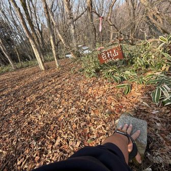 百村山山頂到達🫳