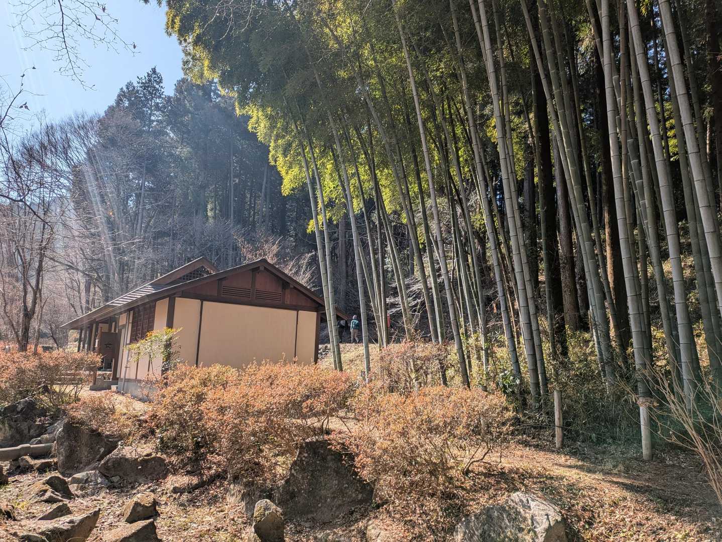 ということで
この時期来てみたかった
網代城山付近にある小峰公園にやって来ました