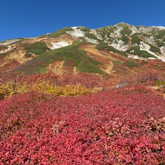 立山（雄山）・立山（大汝山）・立山（富士ノ折立） / スイカっち🍉の